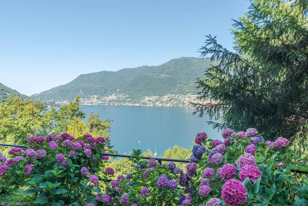 Casa Gianna - Lovely View On Lake Como Riva  بيت للعطل